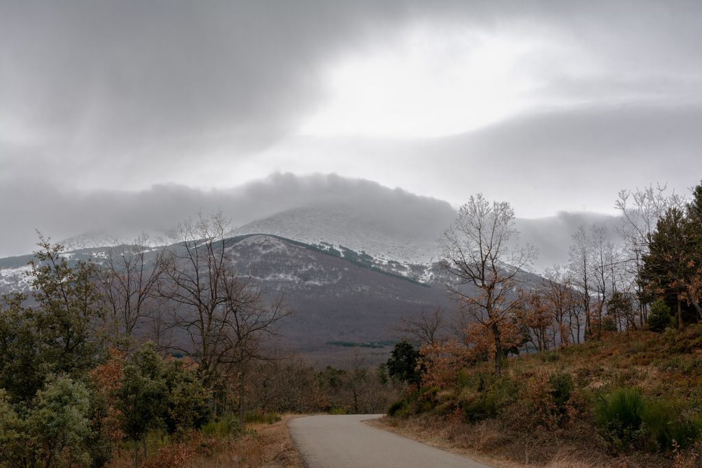 Carretera estrecha entre árboles y vegetación, con una montaña parcialmente nevada bajo un cielo nublado en el Parque Natural del Moncayo.